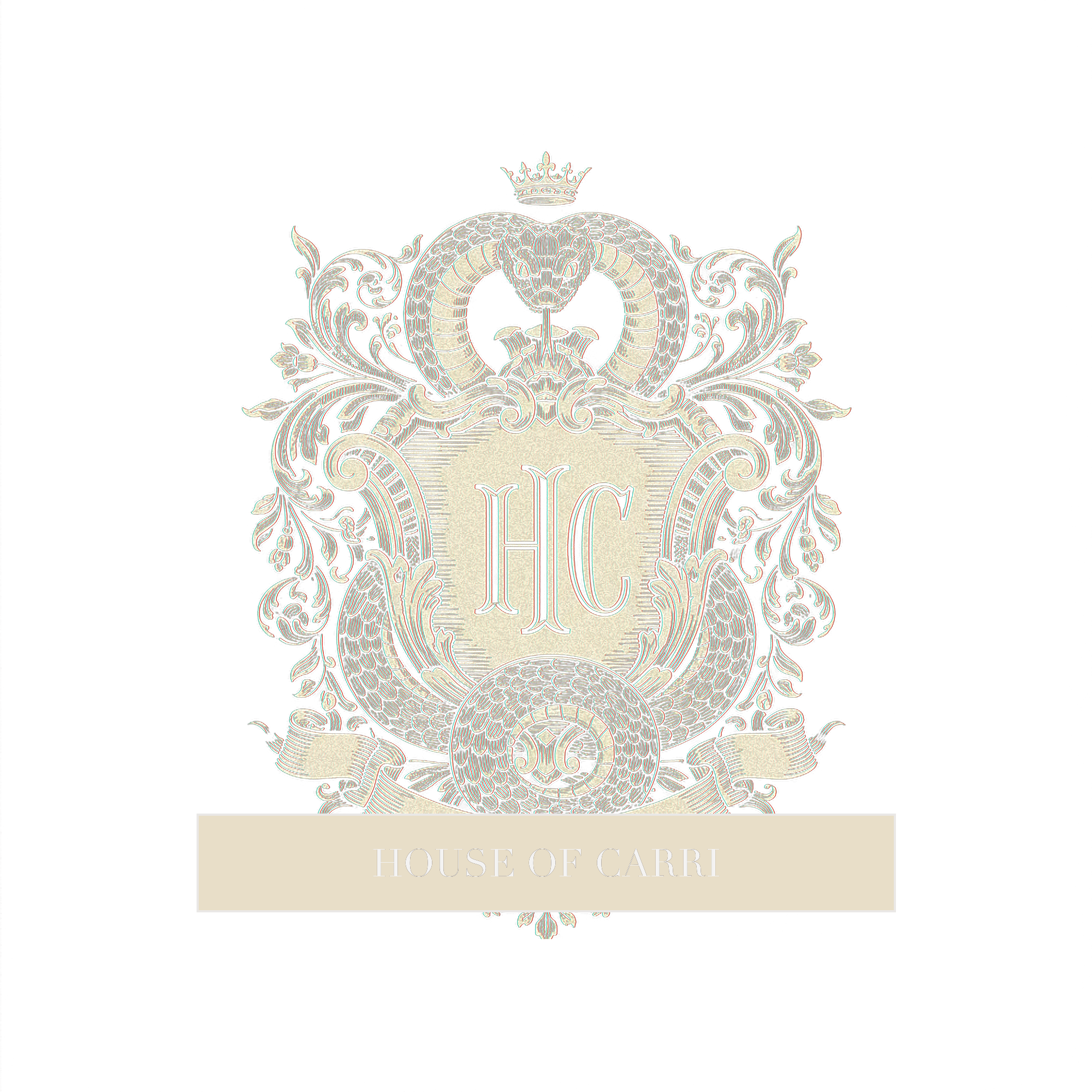 drop05_carri_house_snake_design